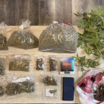 Πάτρα: Κατασχέθηκαν 600 γρ. κάνναβης και δενδρύλλια οφέλους χιλιάδων ευρώ 3 Αστυνομική επιχείρηση στην Πάτρα με κατάσχεση 600 γρ. κάνναβης και δ…
