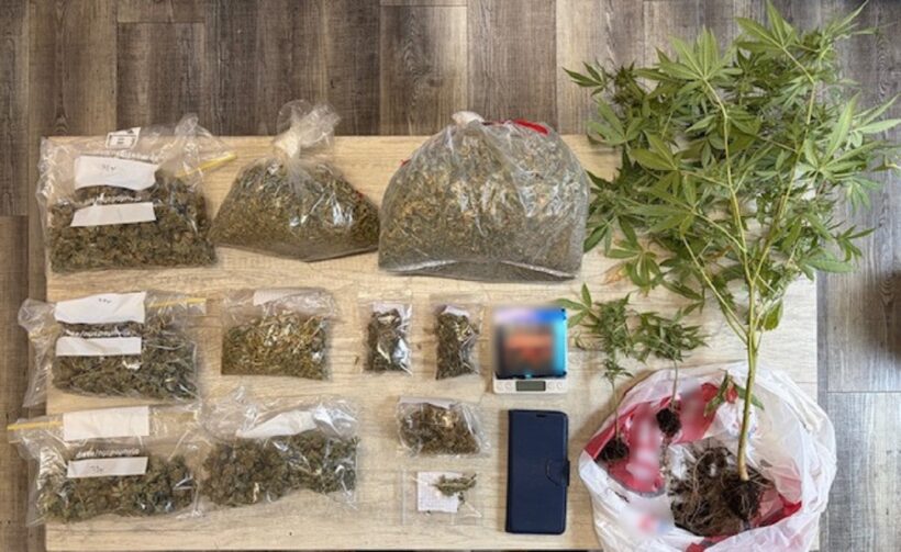 Πάτρα: Κατασχέθηκαν κάνναβη και δενδρύλλια οφέλους χιλιάδων ευρώ 4 Αστυνομική επιχείρηση στην Πάτρα με κατάσχεση 600 γρ. κάνναβης και δ…