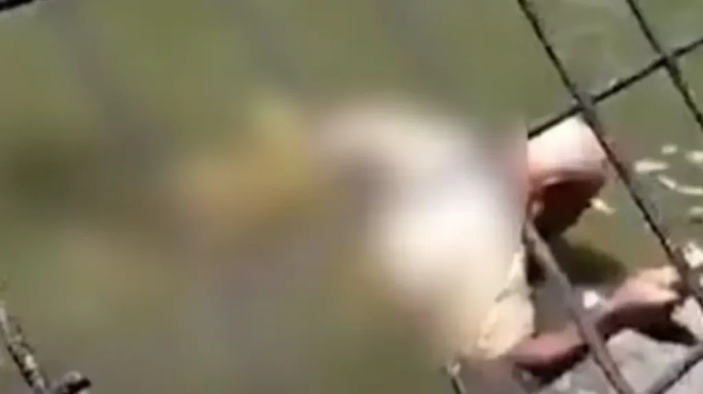 Πάρκο Κροκόδειλος με πράσινο, μονοπάτια και παιδική χαρά