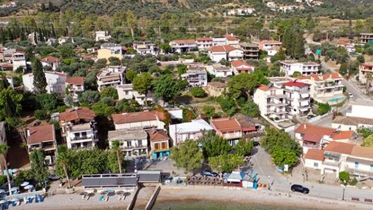 Κατεστραμμένο δίκτυο άφης στο Σελιαντικά μετά τη βλάβη