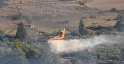 Φωτιά στη Σκιλούντια στην Ηλεία