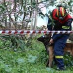 Πάτρα: Ερευνες της ΕΜΑΚ με σκύλο για τον εντοπισμό τουρίστριας