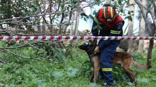Ερευνητής της ΕΜΑΚ με σκύλο εντοπίζει τουρίστρια στην Πάτρα