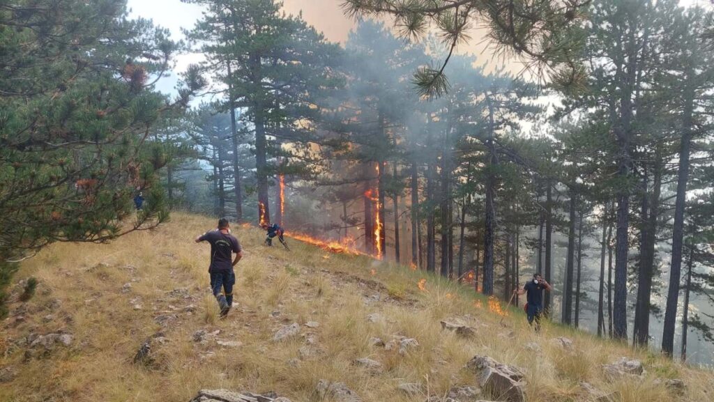 Κόνιτσα: Ανεξέλεγκτη η φωτιά - Εφιάλτης με αναζωπυρώσεις, επιχειρούν πάνω από 150 πυροσβέστες ΦΩΤΟ - ΒΙΝΤΕΟ
