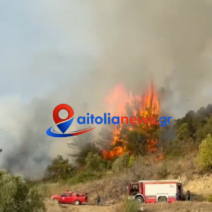 Μεσολόγγι: Φωτιά κοντά στο πεδίο Βολής 1 Μεσολόγγι: Φωτιά κοντά στο πεδίο Βολής