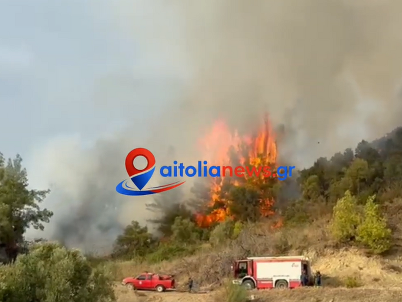 Μεσολόγγι: Φωτιά κοντά στο πεδίο Βολής