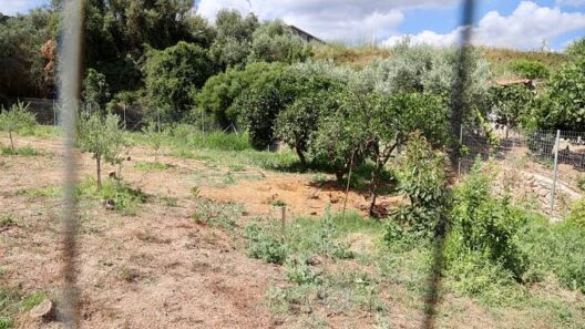 Κυψέλη: «Κλειδί» η εξέταση του ανθρωπολόγου για τα ανθρώπινα οστά που βρέθηκαν σε χωράφι