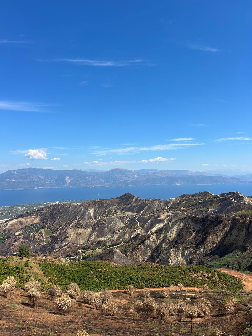 Αιγιάλεια: Επίσκεψη Κατσανιώτη στις πυρόπληκτες περιοχές ΦΩΤΟ