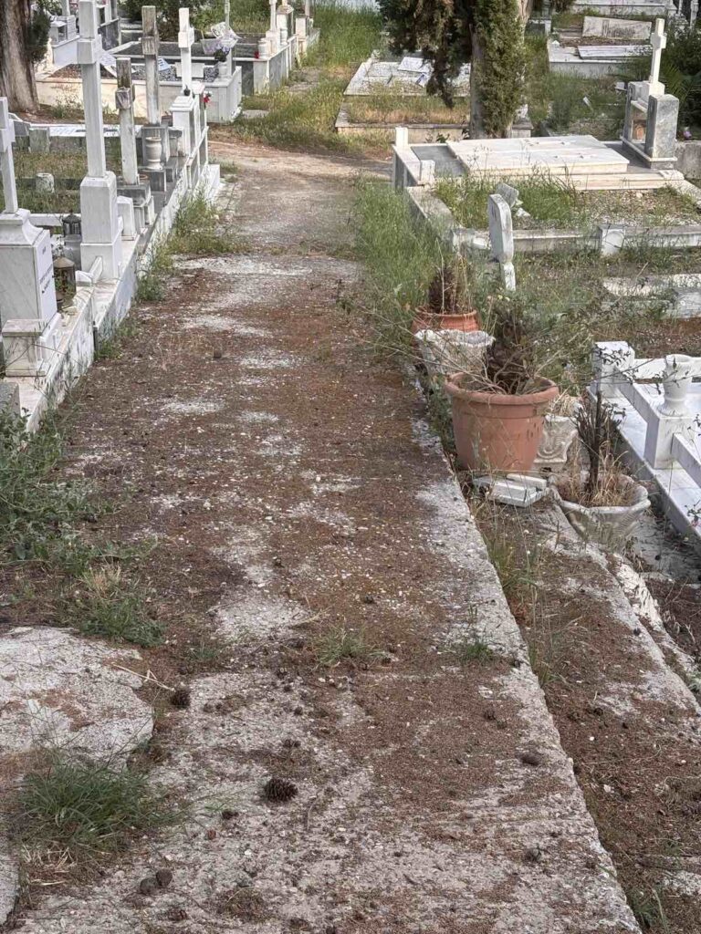 Πάτρα: «Πνίγονται» τα νεκροταφεία - Αυξημένη βλάστηση, γεμάτοι κάδοι, παρατημένοι διάδρομοι - Ο αρμόδιος αντιδήμαρχος στο Patrapress ΦΩΤΟ