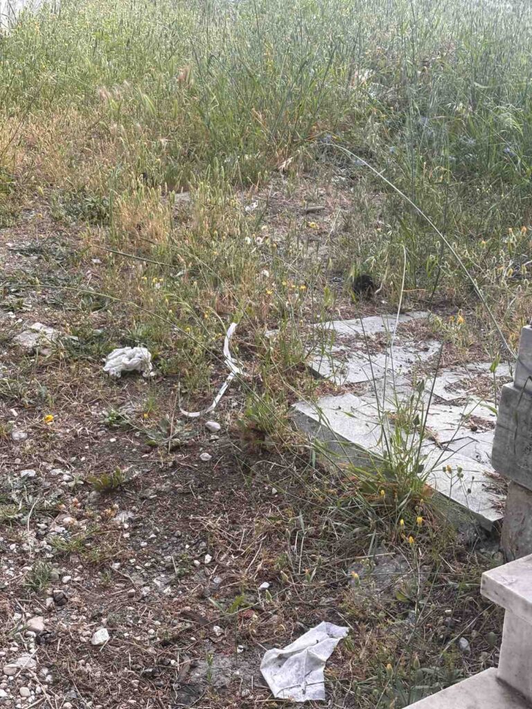 Πάτρα: «Πνίγονται» τα νεκροταφεία - Αυξημένη βλάστηση, γεμάτοι κάδοι, παρατημένοι διάδρομοι - Ο αρμόδιος αντιδήμαρχος στο Patrapress ΦΩΤΟ 11 Πάτρα: «Πνίγονται» τα νεκροταφεία - Αυξημένη βλάστηση, γεμάτοι κάδοι, παρατημένοι διάδρομοι - Ο αρμόδιος αντιδήμαρχος στο Patrapress ΦΩΤΟ