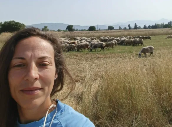 Αχαΐα: Η ακρίβεια «καίει» νοικοκυριά και επιχειρήσεις - Οι εκτιμήσεις των αρμοδίων για το «ράλι» των τιμών στο Patrapress