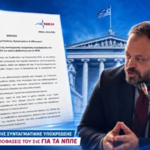 «Το ΣτΕ ακύρωσε τις άδειες των ΝΠΠΕ και το Υπουργείο τρέχει να τις ξαναδώσει πριν καθαρογραφούν οι αποφάσεις»