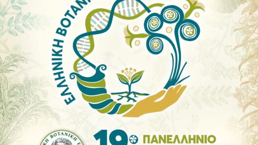 Στο Πανελλήνιο Επιστημονικό Συνέδριο της Ελληνικής Βοτανικής Εταιρείας η ΟΙΚΙΠΑ ΦΩΤΟ 13 Στο Πανελλήνιο Επιστημονικό Συνέδριο της Ελληνικής Βοτανικής Εταιρείας η ΟΙΚΙΠΑ ΦΩΤΟ
