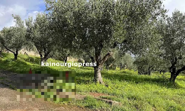 Αγρίνιο: Τέλος στο μυστήριο με το ανθρώπινο κρανίο ΦΩΤΟ