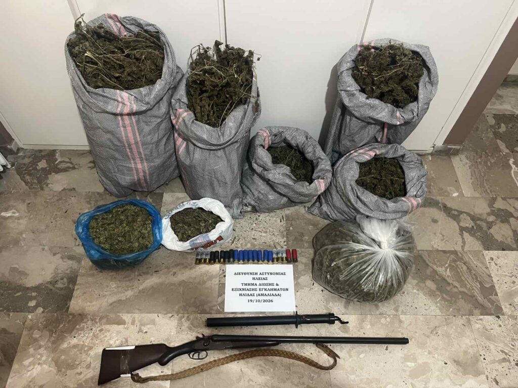 Μεγάλη αστυνομική επιχείρηση στην Ηλεία: Κατασχέθηκαν δενδρύλλια κάνναβης και όπλα