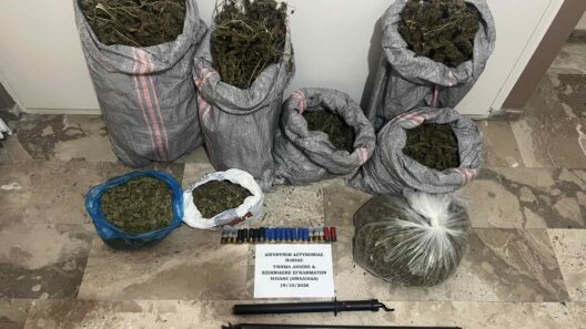 Μεγάλη αστυνομική επιχείρηση στην Ηλεία: Κατασχέθηκαν δενδρύλλια κάνναβης και όπλα 12 Μεγάλη αστυνομική επιχείρηση στην Ηλεία: Κατασχέθηκαν δενδρύλλια κάνναβης και όπλα