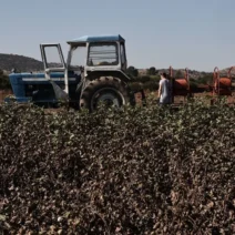 Αγροτικό πετρέλαιο: Πώς θα λειτουργεί η νέα εφαρμογή myDiesel 1 Αγροτικό πετρέλαιο: Πώς θα λειτουργεί η νέα εφαρμογή myDiesel