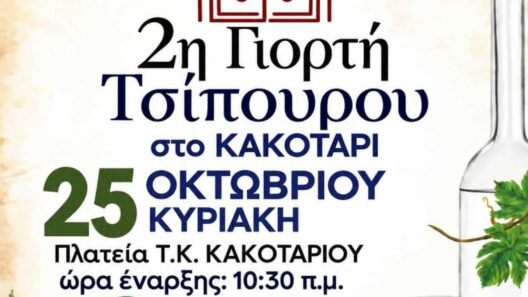 Δήμος Αρχαίας Ολυμπίας: Έρχεται η 2η Γιορτή Τσίπουρου στο Κακοτάρι 14 Δήμος Αρχαίας Ολυμπίας: Έρχεται η 2η Γιορτή Τσίπουρου στο Κακοτάρι