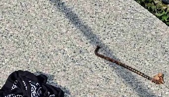 Αγυιά: Παρίστανε τον ελεγκτή στον Προαστιακό και επιτέθηκε σε επιβάτη ΦΩΤΟ