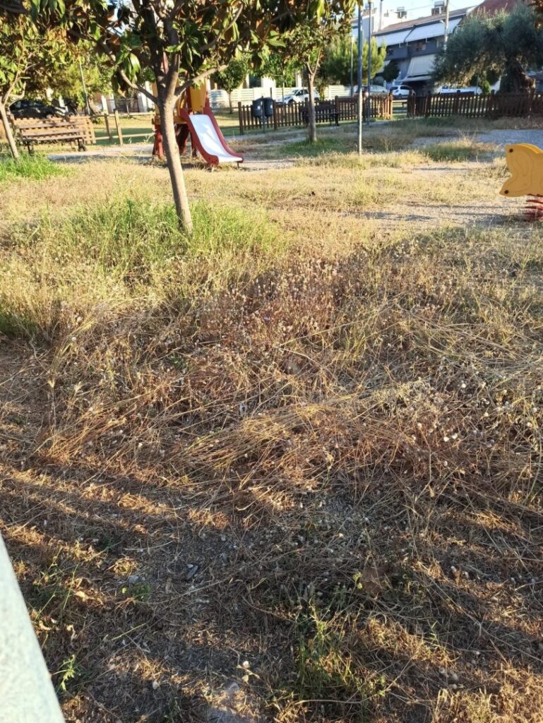 Πάτρα: Εγκατάλειψη στην Παιδική χαρά της οδού Αυστραλίας ΦΩΤΟ
