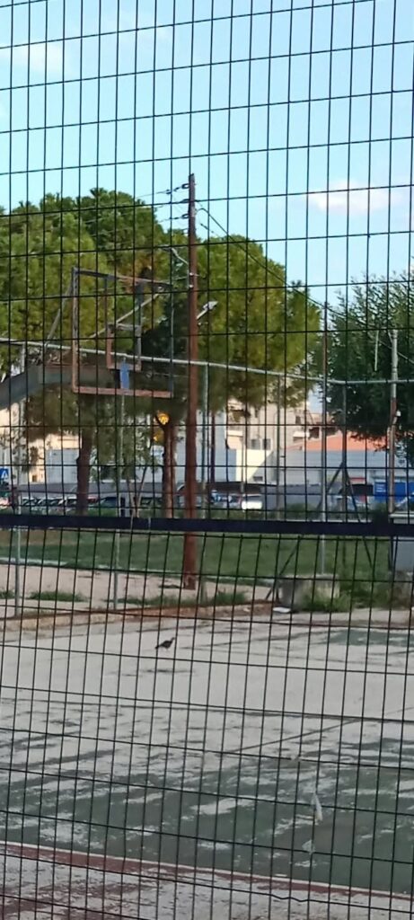 Πάτρα: Στην εγκατάλειψη ο αθλητικός χώρος Βενιζέλου και Παπανδρέου ΦΩΤΟ 5 Πάτρα: Στην εγκατάλειψη ο αθλητικός χώρος Βενιζέλου και Παπανδρέου ΦΩΤΟ