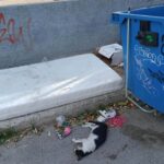 Πάτρα: Σωροί απορριμμάτων και ψοφίμια έξω από Δημοτικό σχολείο ΦΩΤΟ