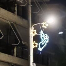 Ζαρουχλέικα: Πρωτοφανές σκηνικό με Χριστουγεννιάτικο στολισμό αρχές Οκτωβρίου ΦΩΤΟ 3 Ζαρουχλέικα: Πρωτοφανές σκηνικό με Χριστουγεννιάτικο στολισμό αρχές Οκτωβρίου ΦΩΤΟ