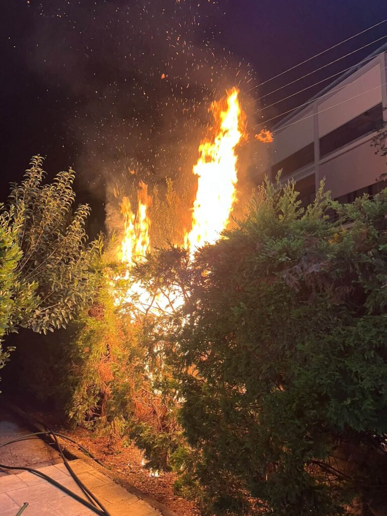Αίγιο: Φωτιά απείλησε τον ναό της Φανερωμένης - Έγκαιρη επέμβαση Εθελοντών και Πυροσβεστικής ΒΙΝΤΕΟ-ΦΩΤΟ 5 Αίγιο: Φωτιά απείλησε τον ναό της Φανερωμένης - Έγκαιρη επέμβαση Εθελοντών και Πυροσβεστικής ΒΙΝΤΕΟ-ΦΩΤΟ