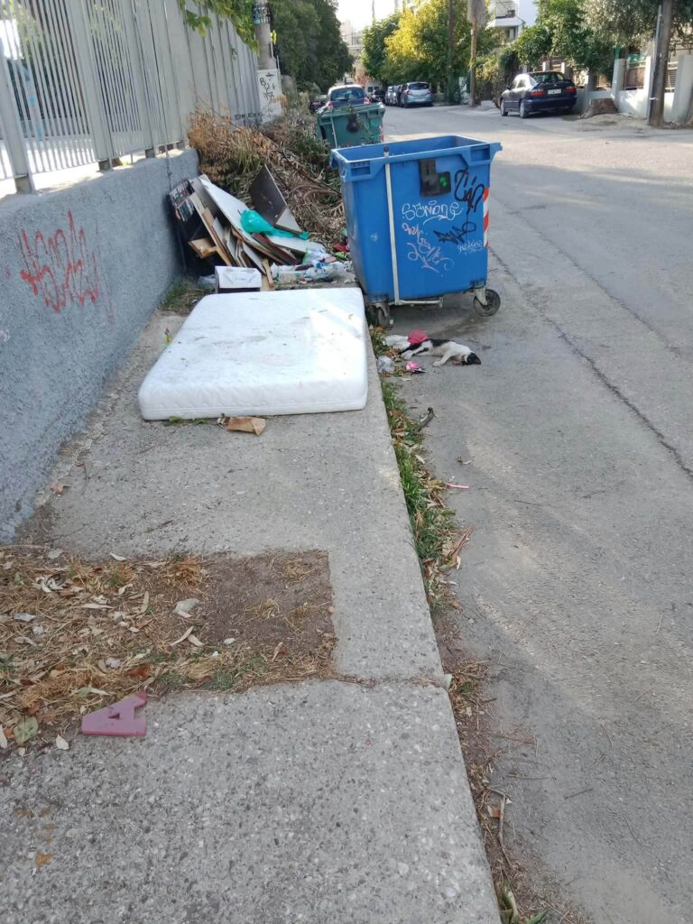 Πάτρα: Σωροί απορριμμάτων και ψοφίμια έξω από Δημοτικό σχολείο ΦΩΤΟ 6 Πάτρα: Σωροί απορριμμάτων και ψοφίμια έξω από Δημοτικό σχολείο ΦΩΤΟ