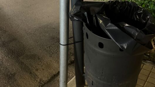 Πάτρα: Πατέντα στο κέντρο με δεμένο καλάθι σκουπιδιών σε κολώνα ΦΩΤΟ 12 Κάδος σκουπιδιών γεμάτος κλάθη σε δρόμο της Πάτρας