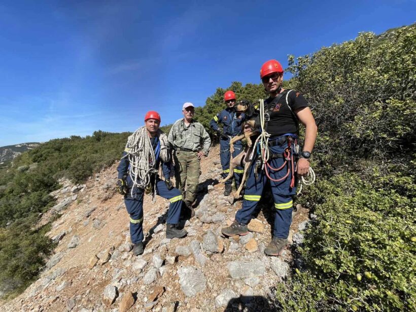 Πάτρα: Πυροσβέστες σκαρφάλωσαν και απεγκλώβισαν σκύλο από βράχια - Επιχείρηση στη Ζουμπάτα ΦΩΤΟ 4 Πάτρα: Πυροσβέστες σκαρφάλωσαν και απεγκλώβισαν σκύλο από βράχια - Επιχείρηση στη Ζουμπάτα ΦΩΤΟ
