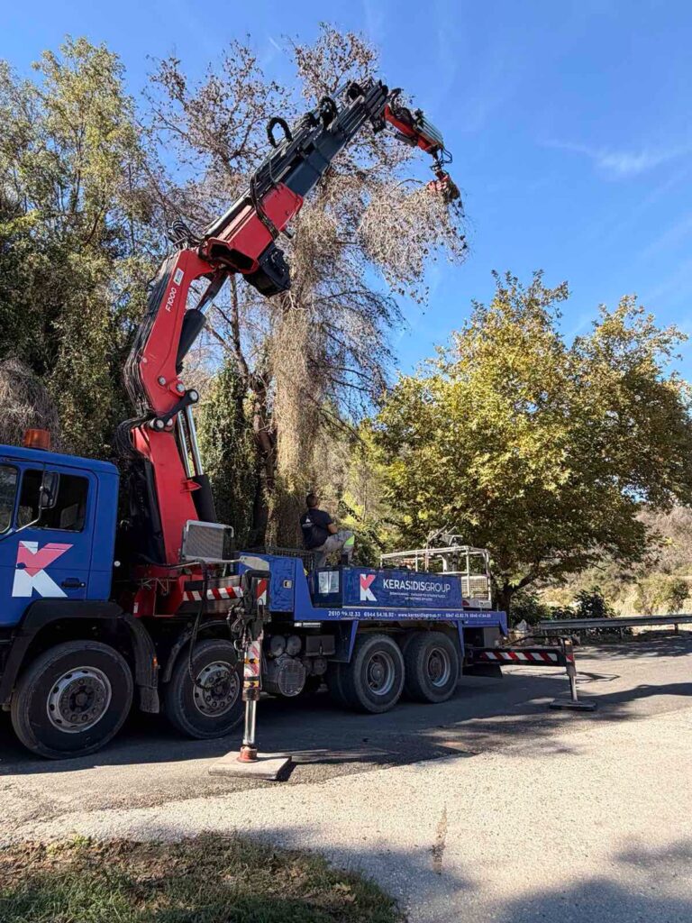 Κάλφα: Καθαρισμός και κλάδεμα επικίνδυνων δέντρων ΦΩΤΟ