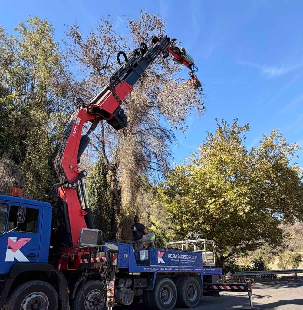 Κάλφα: Καθαρισμός και κλάδεμα επικίνδυνων δέντρων ΦΩΤΟ