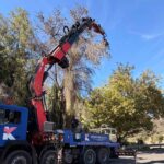 Ερύμανθος: Καθαρισμός και κλάδεμα επικίνδυνων δέντρων στον Κάλφα ΦΩΤΟ