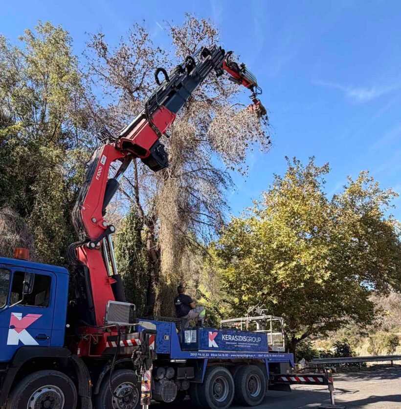 Κάλφα: Καθαρισμός και κλάδεμα επικίνδυνων δέντρων ΦΩΤΟ