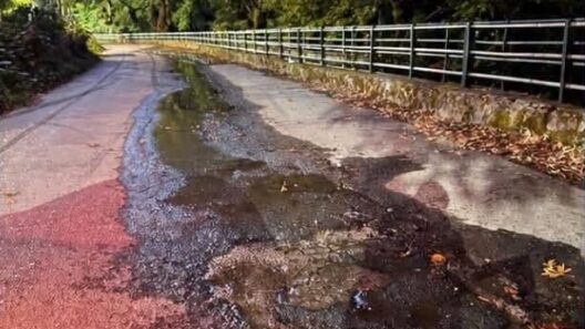 Πλανητέρο: Καταγγελία για χρόνιο πρόβλημα με τα νερά στις Πηγές Αροάνιου 12 Πλανητέρο: Καταγγελία για χρόνιο πρόβλημα με τα νερά στις Πηγές Αροάνιου