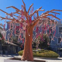 Η mediawall στηρίζει το 14ο Pink the City ΦΩΤΟ