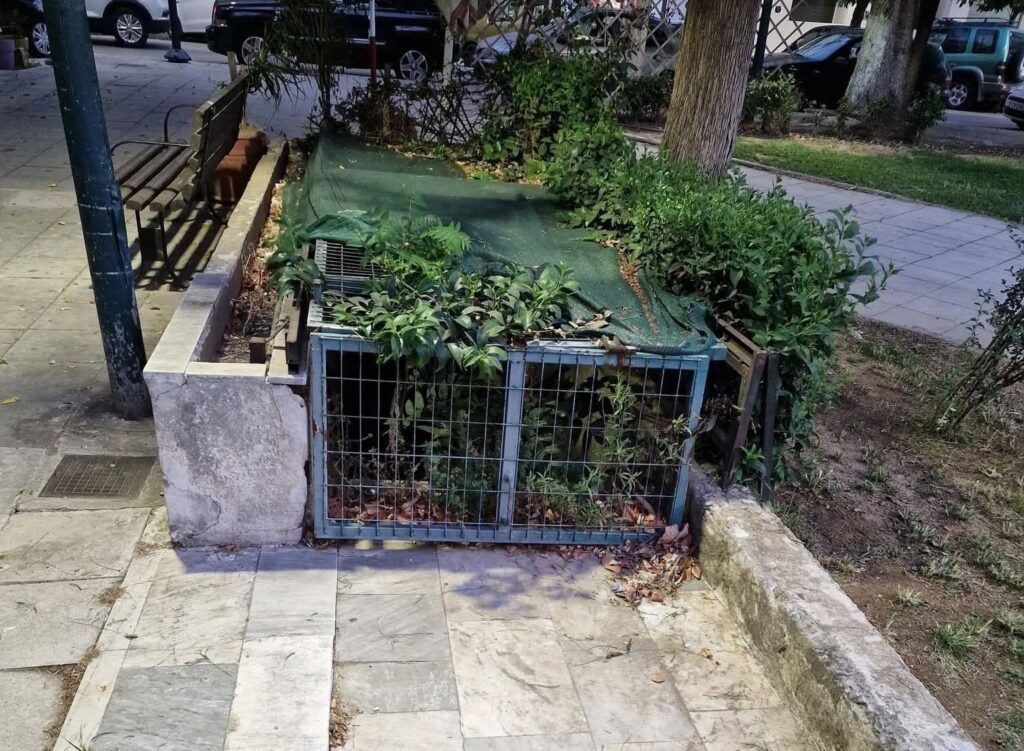 Πάτρα: Ανυπαρξία δημόσιων τουαλετών τις τέσσερις κεντρικές πλατείες ΦΩΤΟ