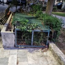 Πάτρα: Ανυπαρξία δημόσιων τουαλετών τις τέσσερις κεντρικές πλατείες ΦΩΤΟ