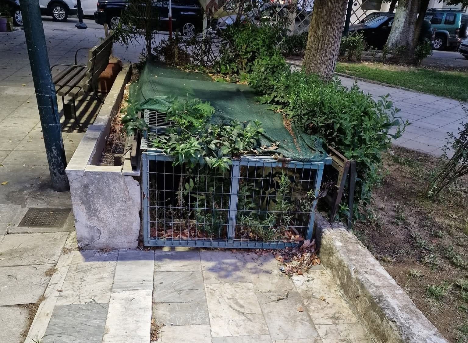 Πάτρα: Ανυπαρξία δημόσιων τουαλετών στις κεντρικές πλατείες ΦΩΤΟ 6 Πάτρα: Ανυπαρξία δημόσιων τουαλετών στις κεντρικές πλατείες ΦΩΤΟ