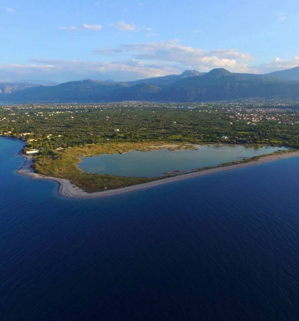 Αίγιο: Ρύπανση στον Υγροβιότοπο της Αλυκής με υπαιτιότητα του Δήμου ΦΩΤΟ 5 Αίγιο: Ρύπανση στον Υγροβιότοπο της Αλυκής με υπαιτιότητα του Δήμου ΦΩΤΟ