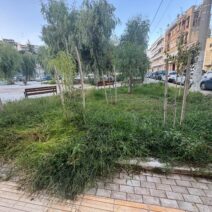 Βλατερό: Παραδόθηκε η πλατεία αλλά την παράτησαν και γέμισε αμέσως χόρτα ΦΩΤΟ 2 Βλατερό: Παραδόθηκε η πλατεία αλλά την παράτησαν και γέμισε αμέσως χόρτα ΦΩΤΟ
