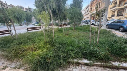 Βλατερό: Παραδόθηκε η πλατεία αλλά την παράτησαν και γέμισε αμέσως χόρτα ΦΩΤΟ 14 Βλατερό: Παραδόθηκε η πλατεία αλλά την παράτησαν και γέμισε αμέσως χόρτα ΦΩΤΟ