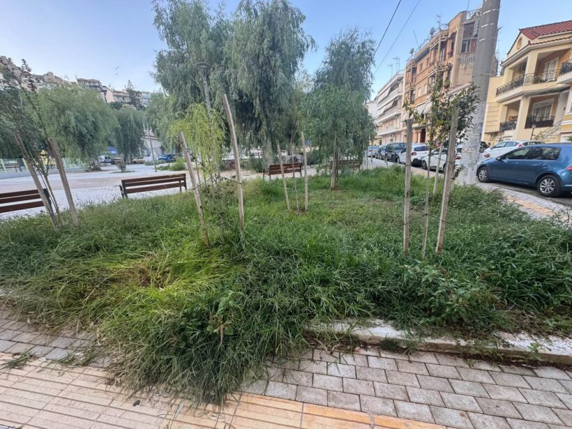 Βλατερό: Παραδόθηκε η πλατεία αλλά την παράτησαν και γέμισε αμέσως χόρτα ΦΩΤΟ