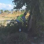 Ρίο: Κοπή και απομάκρυνση επικίνδυνων δέντρων για ασφάλεια των μετακινήσεων ΒΙΝΤΕΟ