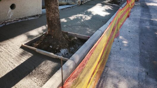 Πάτρα: Καλούπωμα στα δέντρα της οδού Αυστραλίας μετά την γκρίνια κατοίκων ΦΩΤΟ