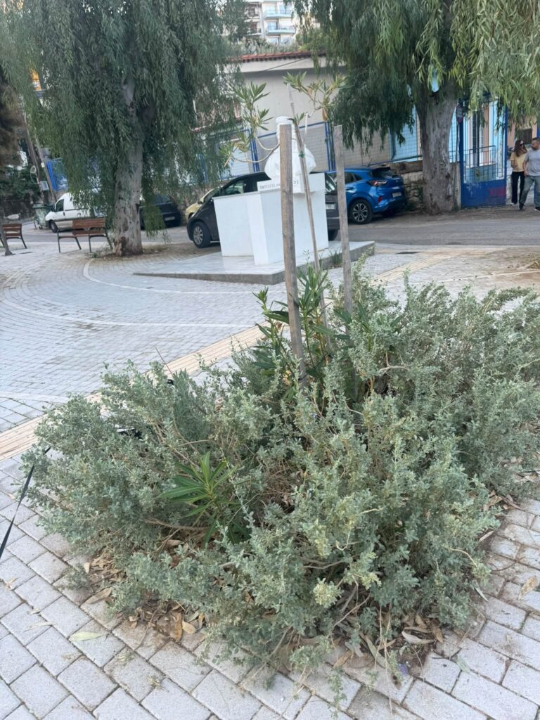 Βλατερό: Παραδόθηκε η πλατεία αλλά την παράτησαν και γέμισε αμέσως χόρτα ΦΩΤΟ