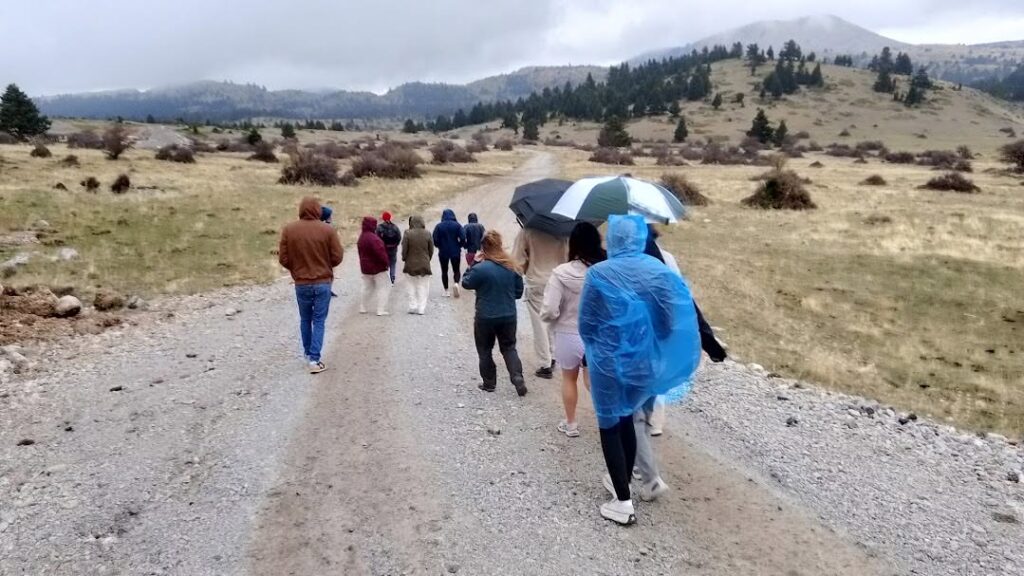 Αχαΐα: Παρεμβάσεις στο Εθνικό Γεωπάρκο Χελμού Βουραϊκού - Σοβαρά ερωτήματα για την περιβαλλοντική διαχείριση ΦΩΤΟ 8 Αχαΐα: Παρεμβάσεις στο Εθνικό Γεωπάρκο Χελμού Βουραϊκού - Σοβαρά ερωτήματα για την περιβαλλοντική διαχείριση ΦΩΤΟ