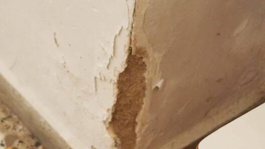 Πάτρα: Σοκάρουν οι εικόνες στο «ακατάλληλο» 9ο Νηπιαγωγείο – «Εγκληματική» αμέλεια στις καταγγελίες γονέων από 16 Σεπτεμβρίου ΦΩΤΟ