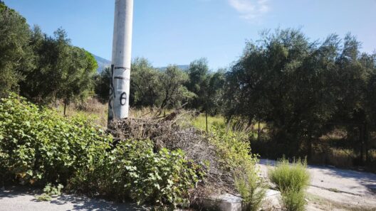 Πάτρα: Εγκαταλελειμμένο όχημα κάτω από κολώνα της ΔΕΗ ΦΩΤΟ